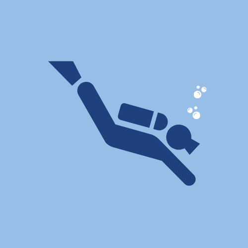 Dive Safety Icon